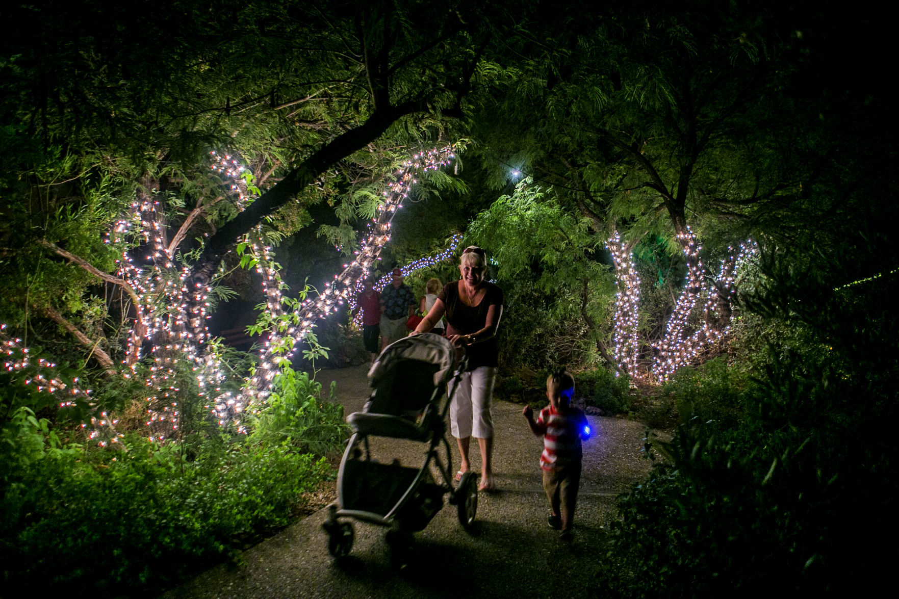 June 30: Cool Summer Nights